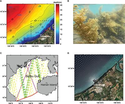 The strategies preventing particle transportation into the inlets of nuclear power plants: Mechanisms of physical oceanography